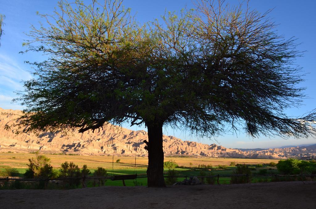 Angastaco Finca El Carmen מראה חיצוני תמונה